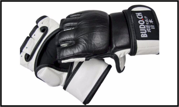 MMA Pro Handschuhe Budo