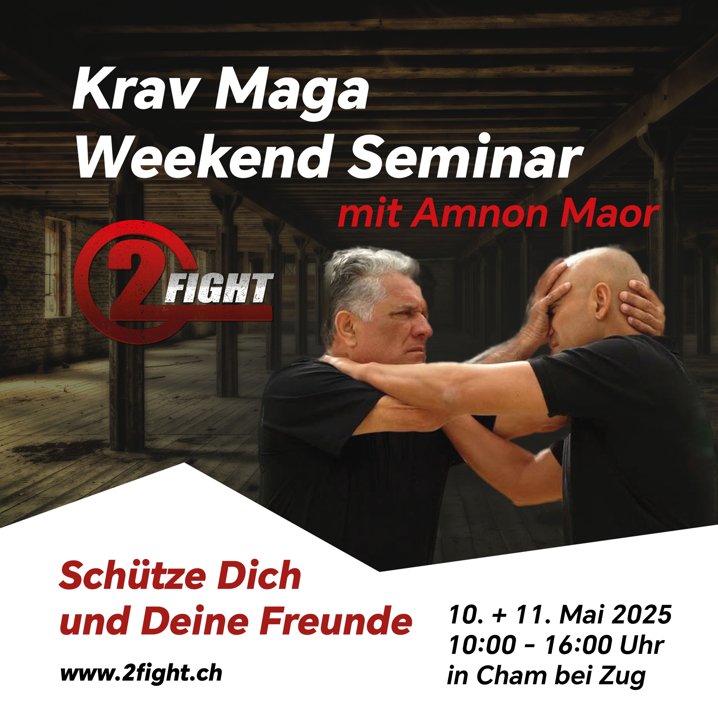 Krav Maga Amnon Maor Seminar